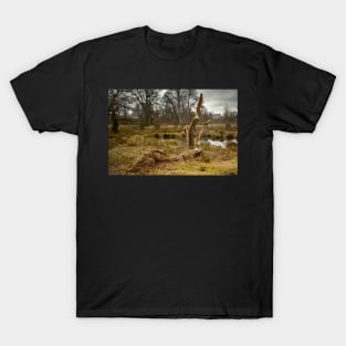 Dunham Massey - A dead tree T-Shirt